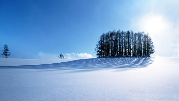 Photoshop将婚片打造出唯美的梦幻冬季雪景效果