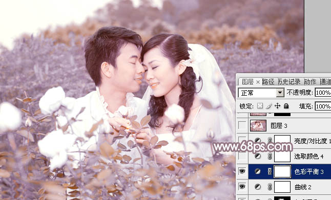 Photoshop为玫瑰园婚照调制出蓝紫中性色