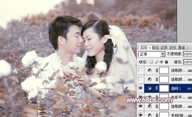 Photoshop为玫瑰园婚照调制出蓝紫中性色