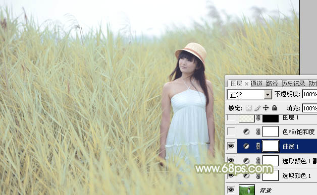 Photoshop将芦苇美女图片打造非常淡雅的冷色调
