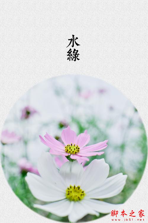 Photoshop制作色谱花卉主题作品教程