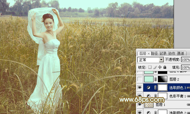 Photoshop将芦苇中的美女图片增加流行的青黄色效果