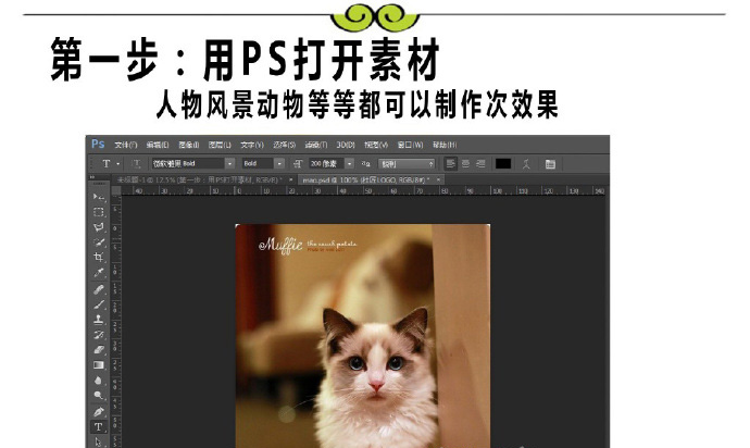 使用PS打造低多边形的布偶猫插画海报教程