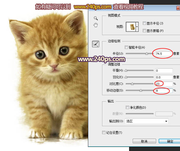 PS利用调整边缘抠出可爱的小猫换背景