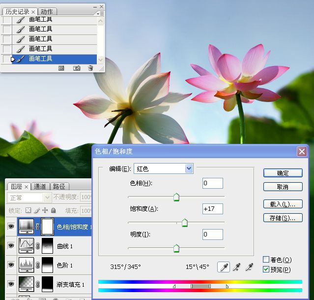 photoshop合成制作蓝天下清爽的荷花美图