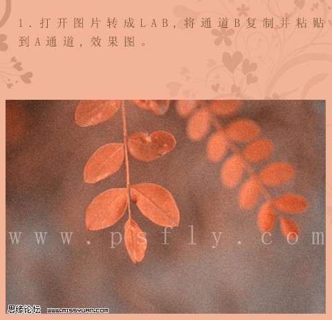 photoshop利用通道替换将槐树叶图片制作出怀旧的暖褐色