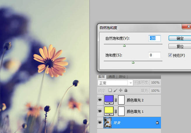 photoshop利用纯色图层快速打造中性蓝黄色花朵图片