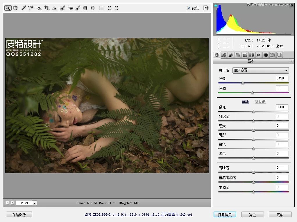Photoshop调出唯美的中性色森林美女