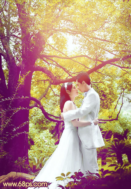 Photoshop将树林婚片增加上柔美的黄紫色效果