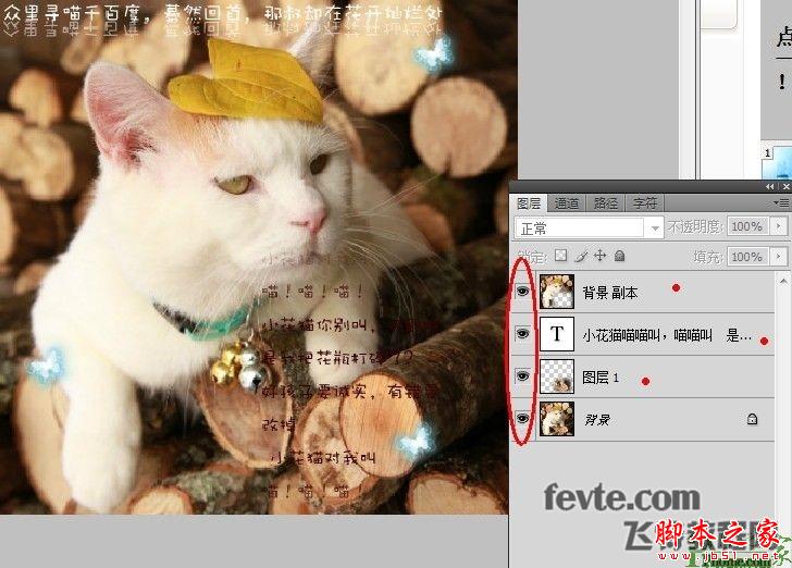 photoshop为可爱猫咪制作漂亮的动态签名教程