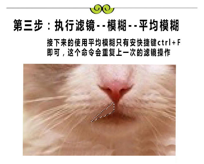 使用PS打造低多边形的布偶猫插画海报教程