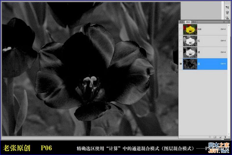 Photoshop通过计算命令无限改变花的颜色图文教程