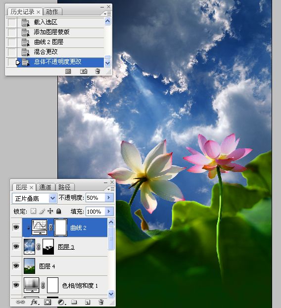 photoshop合成制作蓝天下清爽的荷花美图