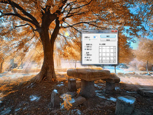 使用Photoshop滤镜制作唯美太阳光效果的大树照片