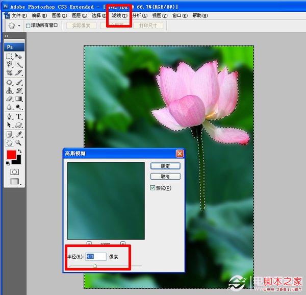 如何使用PS虚化背景突出主体 Photoshop高斯模糊实例教程