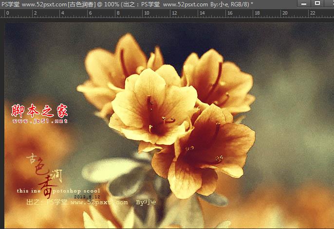 Photoshop将花卉特写图片打造具有古典韵味的黄褐色效果