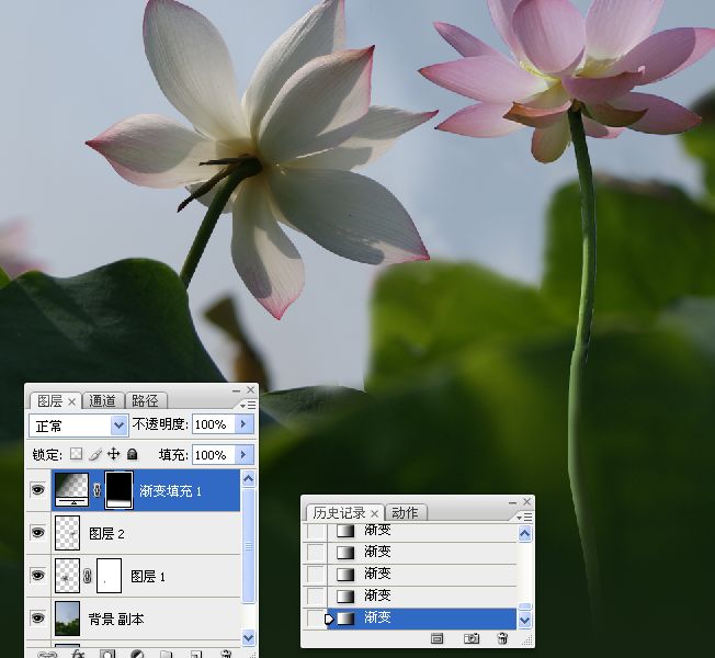 photoshop合成制作蓝天下清爽的荷花美图