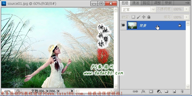 photoshop为芦草中美女鼠绘出透明纱巾教程