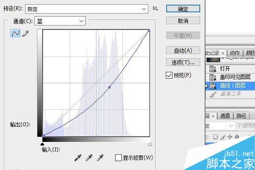 PS调整图层将照片调出夜色效果