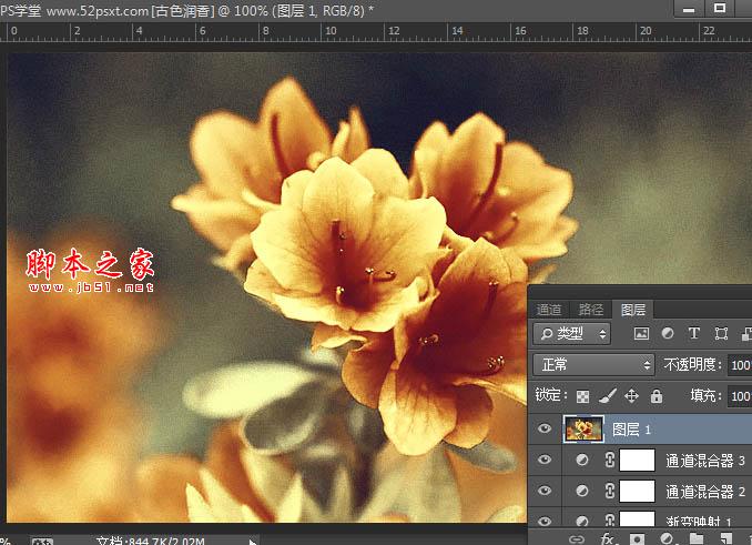 Photoshop将花卉特写图片打造具有古典韵味的黄褐色效果