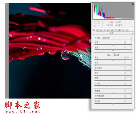 PS教你制造出花瓣上水滴透视效果