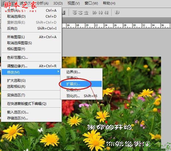 photoshop为宝宝写真照增加动态蝴蝶翅膀特效