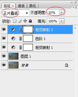 Photoshop为野花特写图片调制出清爽的阳光色