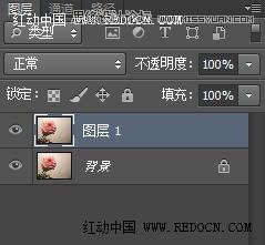 Photoshop利用Camera Raw和HDR动态渲染滤镜调出柔美清新的粉色玫瑰