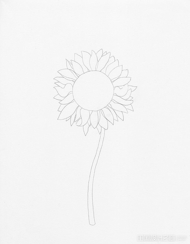 How to Draw a Sunflower