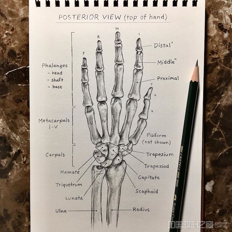 Taji Joseph Drawing Tutorials