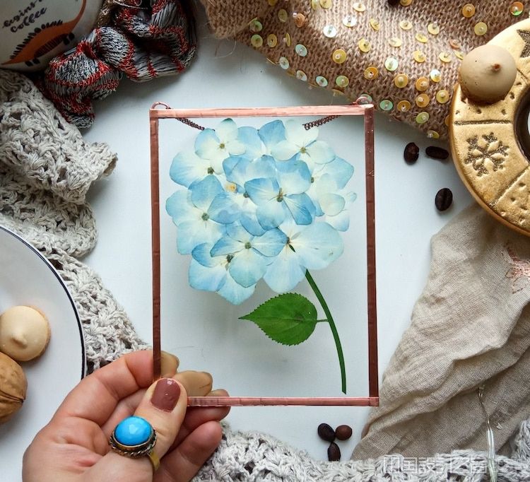 Pressed Flower Art by Anna Zakirova