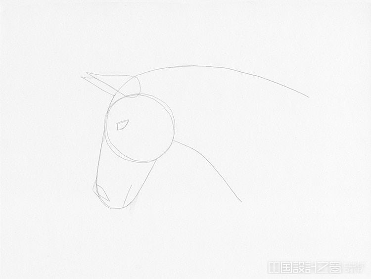 How to Draw a Horse Head