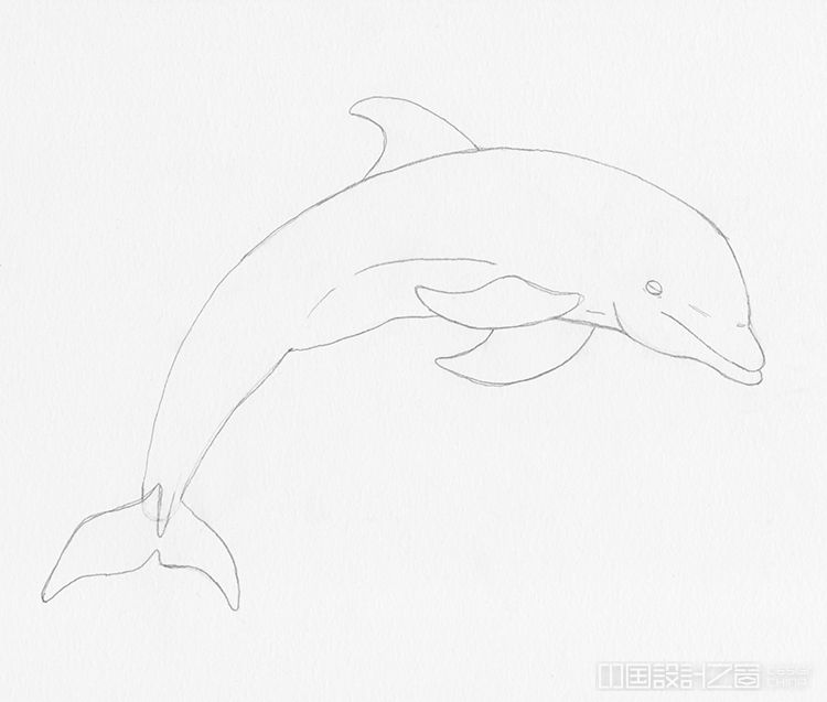 How to Draw a Dolphin