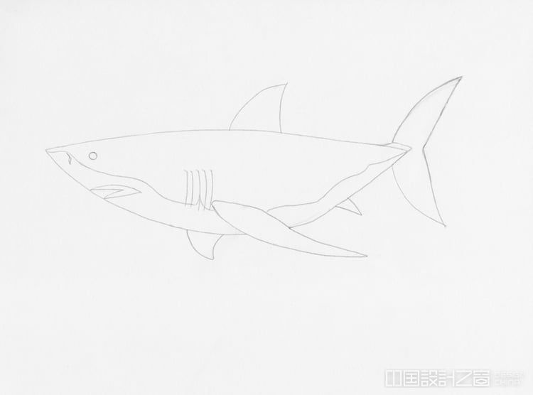 10步的立体大白鲨图片