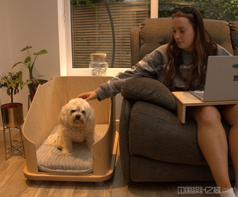 Doze Pet Furniture by Ashleigh Davies