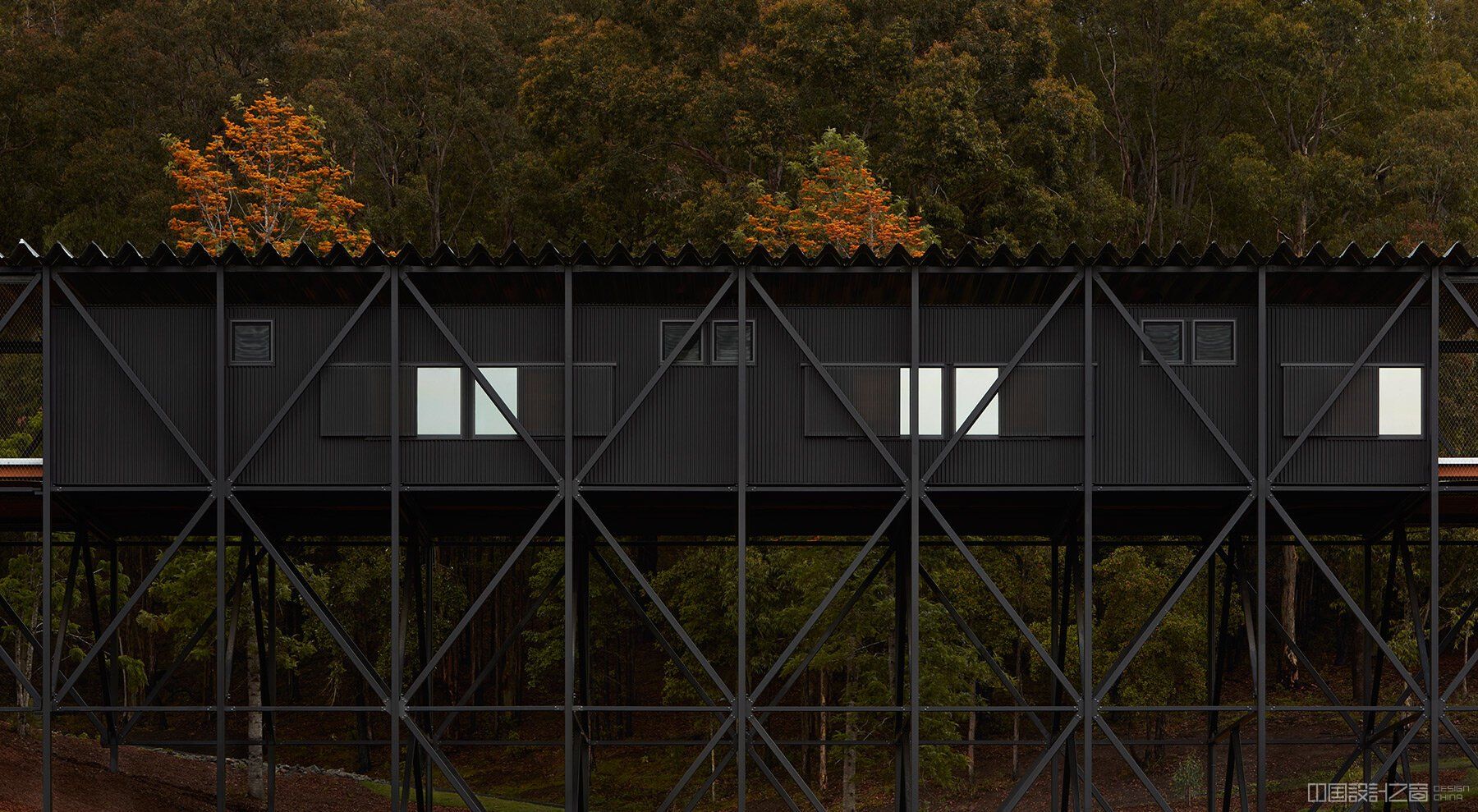 bundanon-art-museum-bridge-creative-learning-endure-climate-change-designboom-full