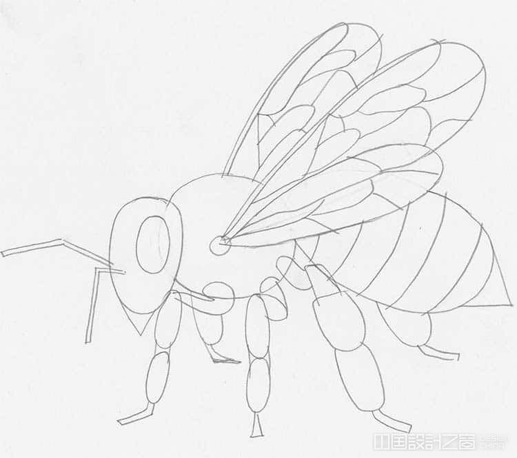 How to Draw a Bee