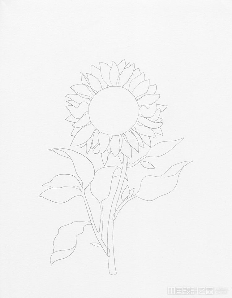 How to Draw a Sunflower