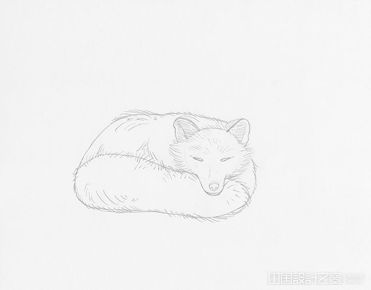 How to Draw a Sleeping Fox