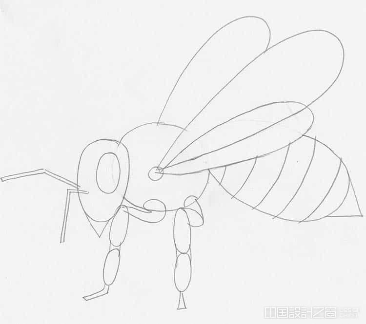 How to Draw a Bee