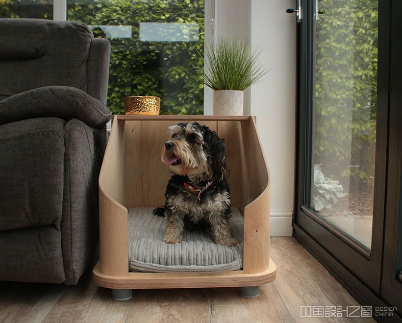 Doze Pet Furniture by Ashleigh Davies