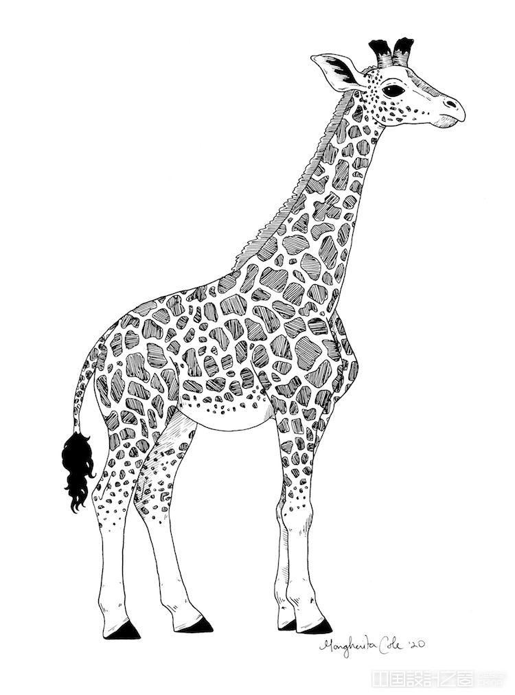 长颈鹿装饰画简单画法图片