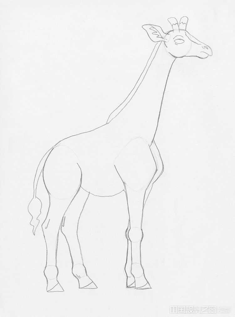 How to Draw a Giraffe