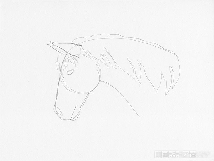 How to Draw a Horse Head