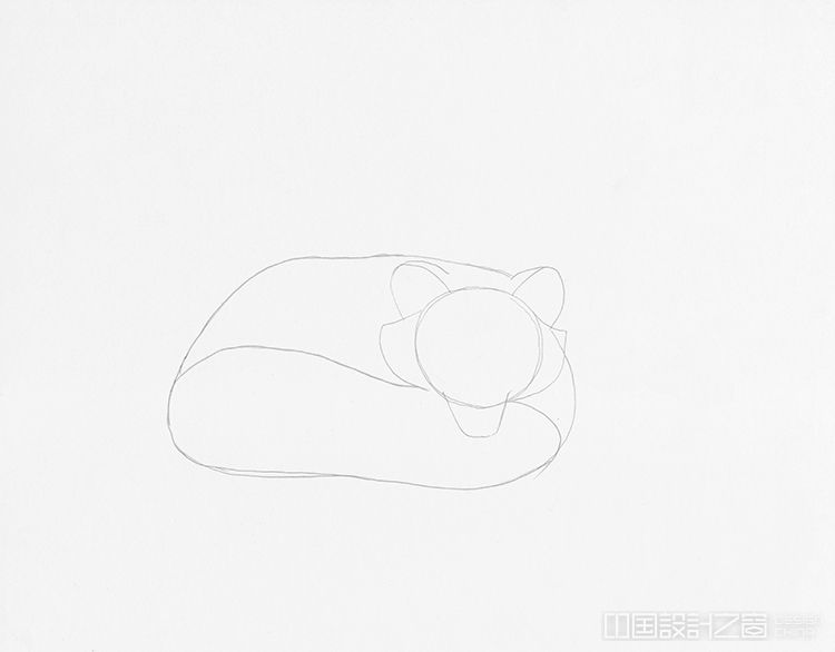 How to Draw a Sleeping Fox