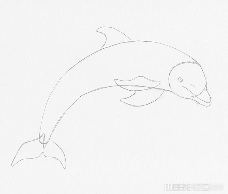 How to Draw a Dolphin