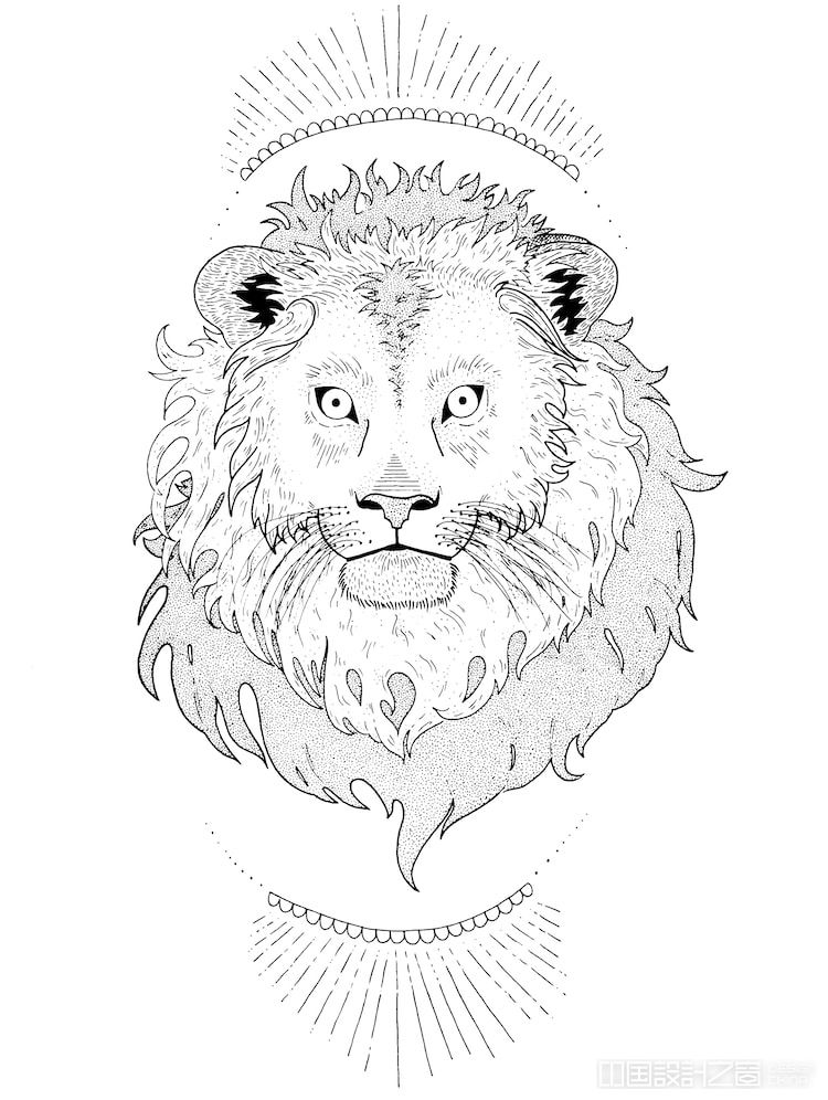 How to Draw a Lion Step by Step