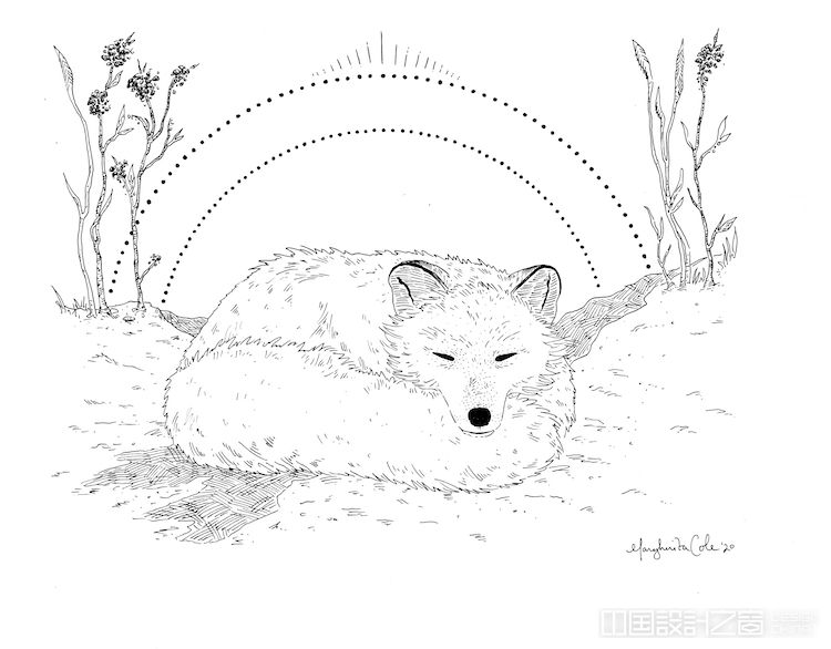 How to Draw a Sleeping Fox