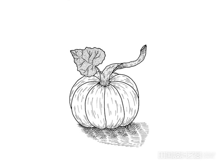 How to Draw a Pumpkin Step by Step