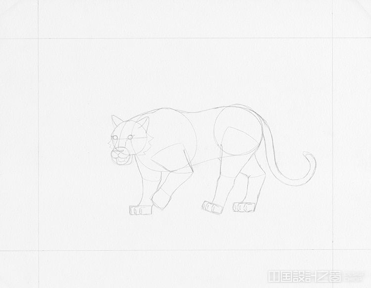 How to Draw a Tiger Drawing Tutorial 